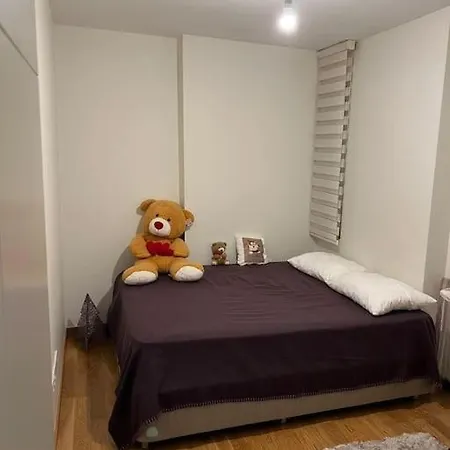 Apartment Very Close To Bosphorus